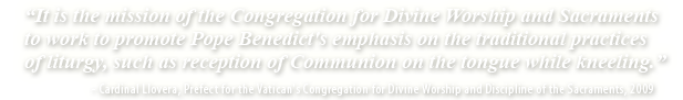 It is the mission of the Congregation for Divine Worship and Sacraments to work to promote Pope Benedict's emphasis on the traditional practices of liturgy, such as reception of Communion on the tongue while kneeling.