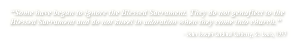 All that has been elaborated on until now permits us to realize that the history of the reintroduction of communion in the hand is nothing other than the triumph of an act of disobedience.
